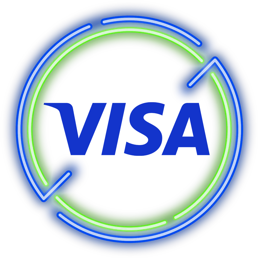 Use the Visa payment system to make online payments.