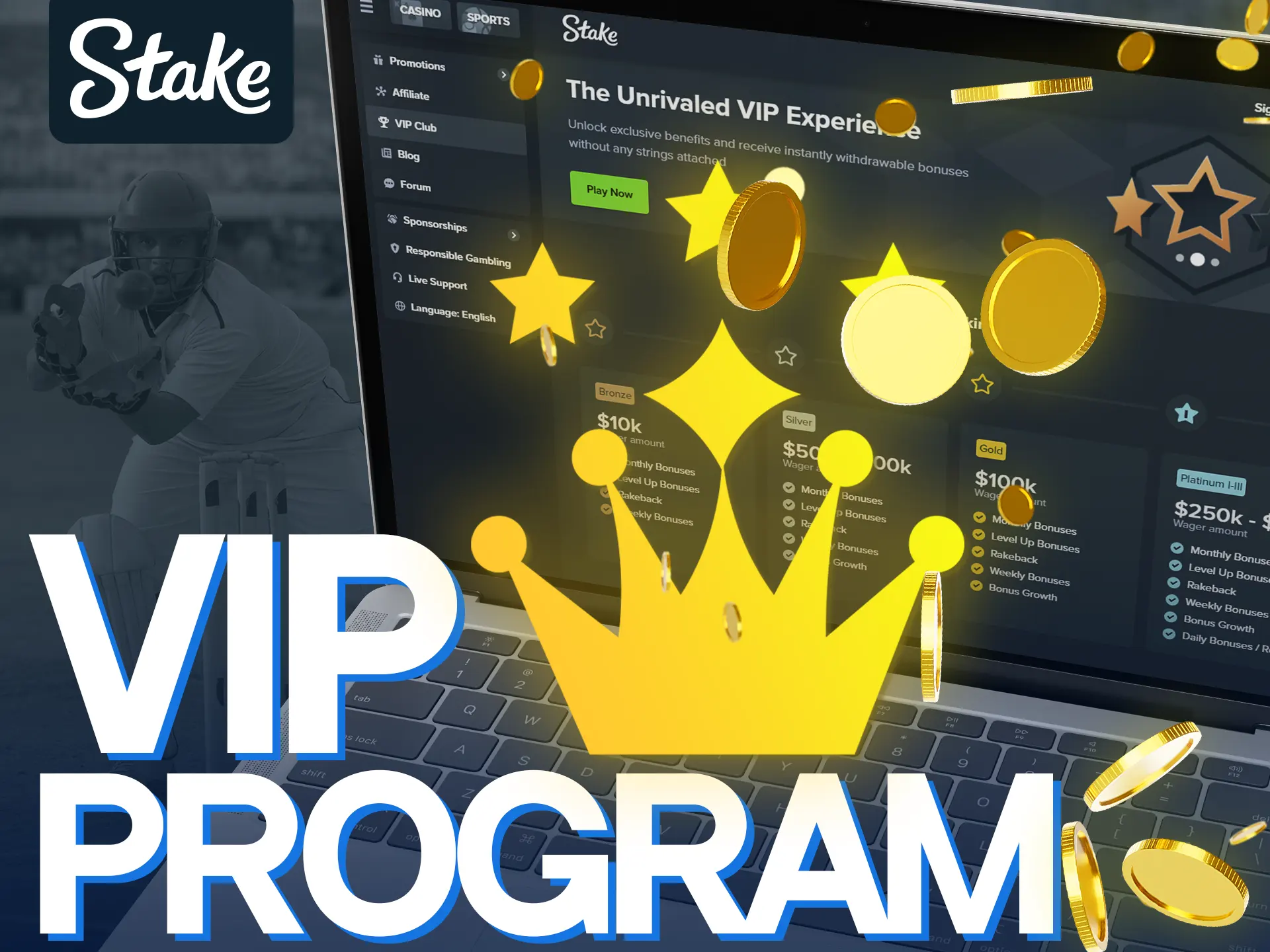 Stake VIP program offers exclusive bonuses and perks.