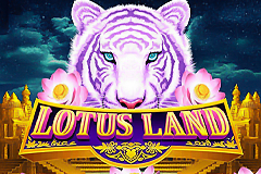 Lotus Land slot will transport you to India.