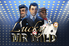 Lucky Mr. Wild is an all-ways slot that surrounds you with a luxurious casino environment.