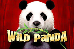 Get ready for an exciting, reward packed journey with Wild Panda slot.