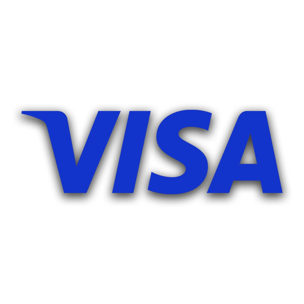 Use the Visa payment system to make online payments.