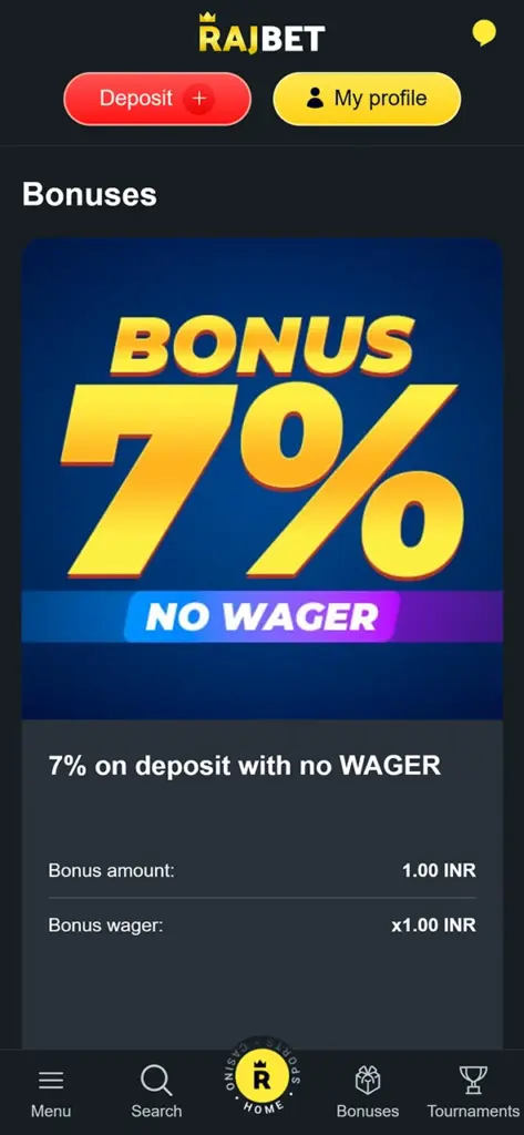 Get bonuses in the Rajbet loyalty program.